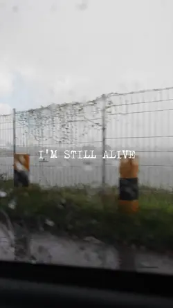 Life Update Meme 