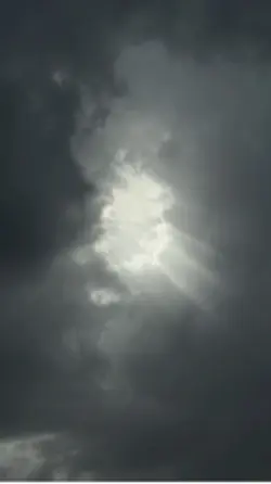 Demo Vô Ý
