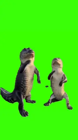crocodile dancing