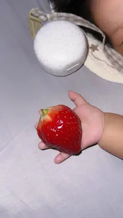 Mẫu trái cây và tay