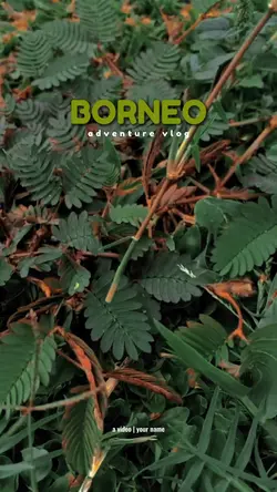 borneo vlog 
