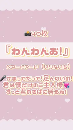 📸40枚🐶わんわんお❕ベアードアード