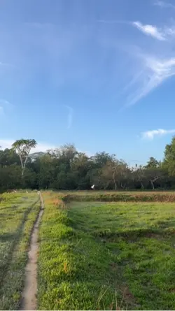 Jumat berkah 