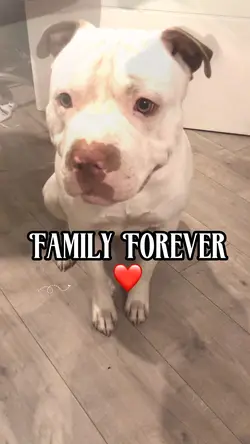 Pure love 