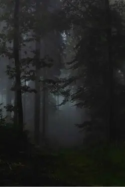 Scary stories 