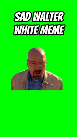 Sad Walter White