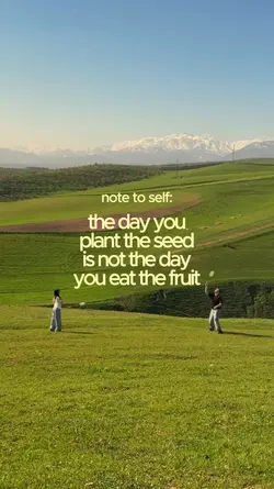 The day you plant
