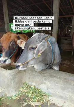 kurban