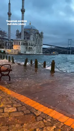 Yeni şablon