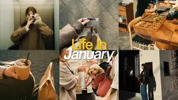 JANUARY DUMP 2026