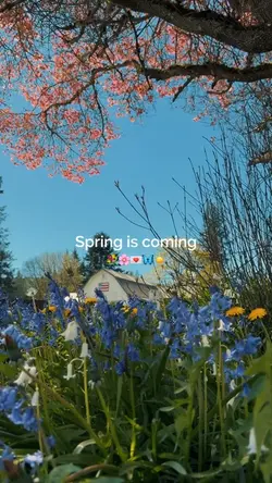 Spring Is Coming