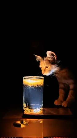 Glas trend turmeric