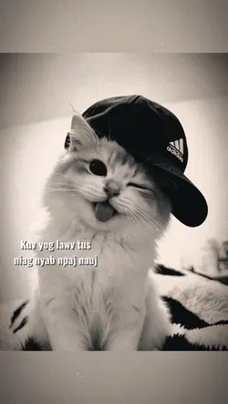 nyab lawv tsis nyiam