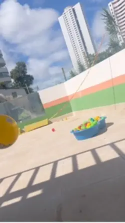 Pet brincando 