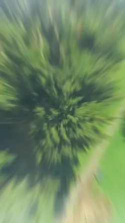 F_i_r_a_s 
