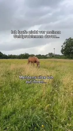 Geldprobleme 🐴