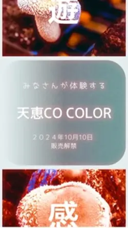 天恵菇color 