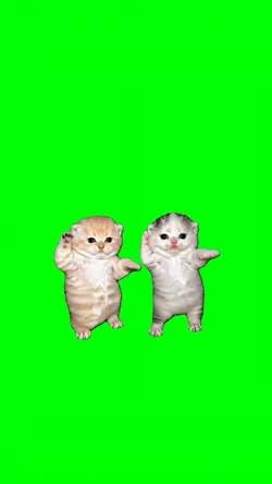 DANCING KITTENS