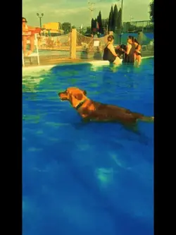 Add a video