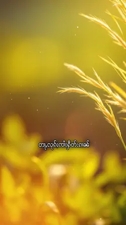 ယွၼ်းႁႂ်ႈမႄႈယူႇလီ