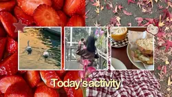 feeds instagram