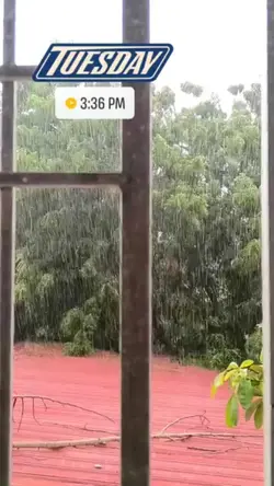 Rain on a Tuesday 