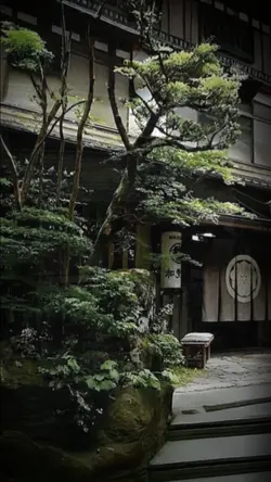 pic 3 ảnh 