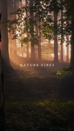NATURE VIBES