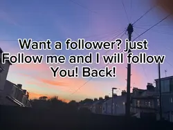 Want a follower?