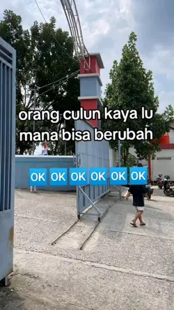 v no mirror 
