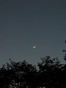 お洒落