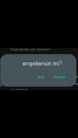 bitiremedim seni 