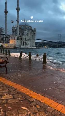 Yeni şablon