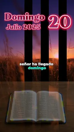 Domingo 20 de julio