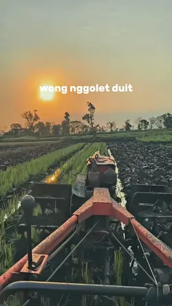 Angele Wong Urip