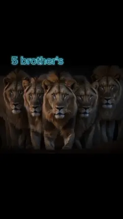 5 brothers template