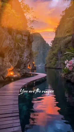 you are the reason