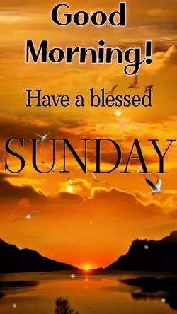 BLESSED SUNDAY 