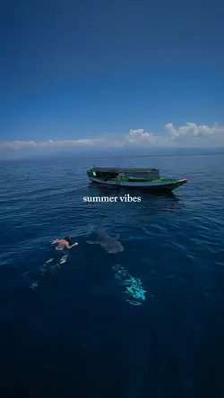 summer vibes