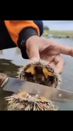 pagkain sa dagat