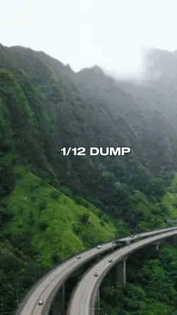 JANUARY 2025 DUMP