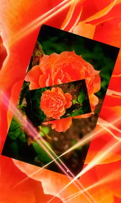 Flowers and sunshine