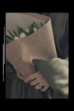 Arabic Aesthetic 