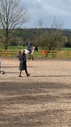 Canter