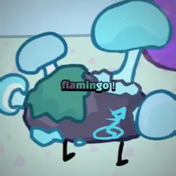flamingo ! 🌈 