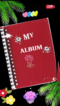album ảnh 