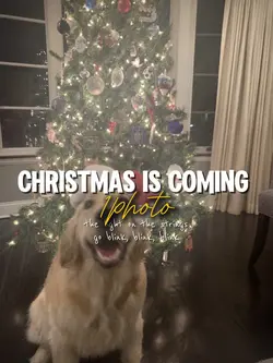Christmas is coming