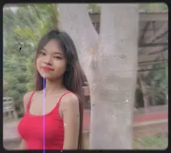 Hay Mar lin