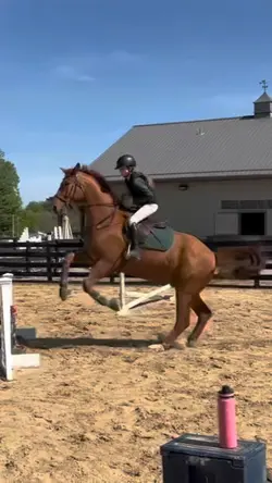 Holy long spot