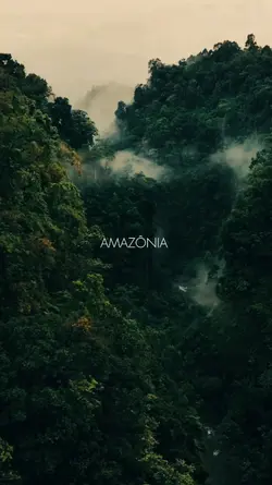 AMAZÔNIA 
